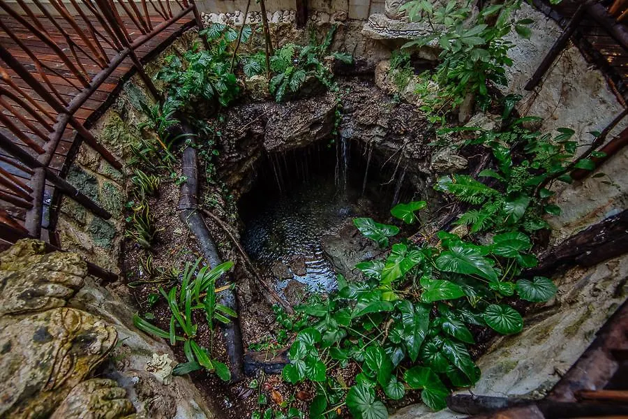 Luxurious 2Br Condo Surrounded By Nature By Happy Address